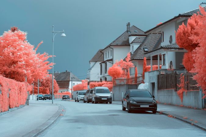 Infrared trees near suburban houses
