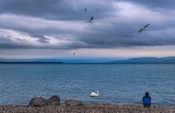 Man sitting on a lake shore on a rainy day