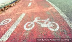Bike lane markings 5rRn15
