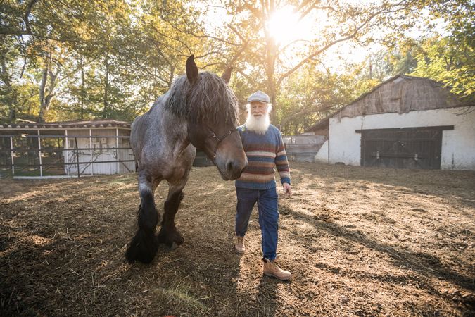 Man walking beside horse near barn