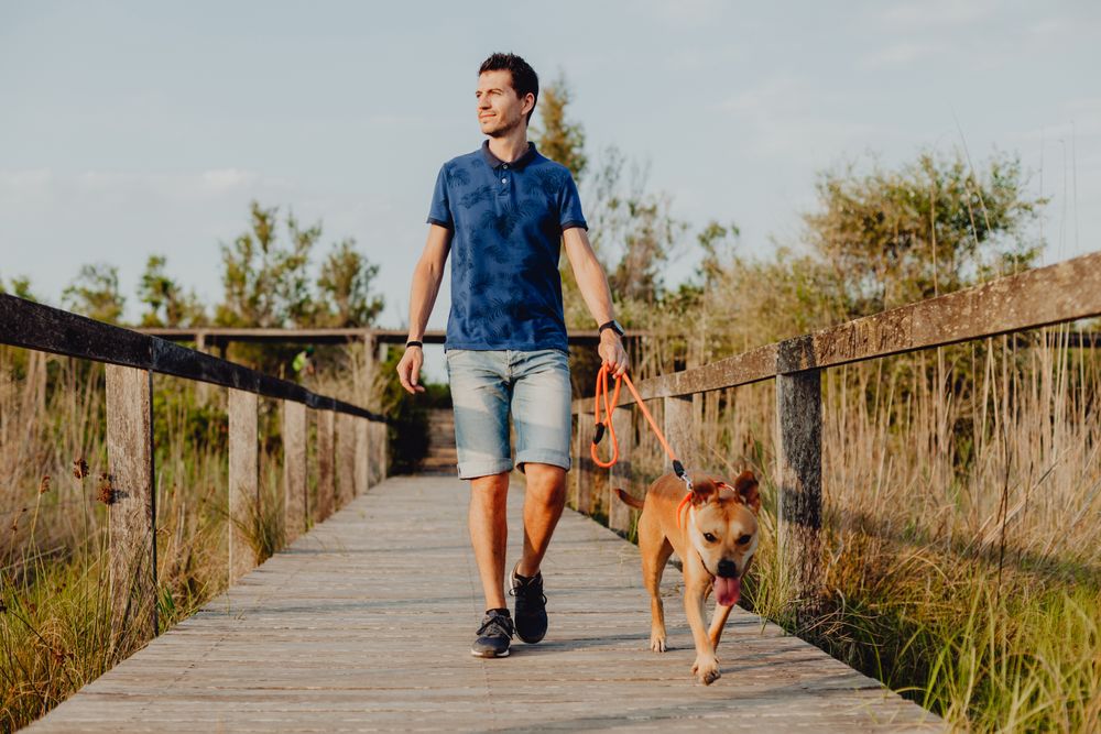 Happy adult man walking with dog along countryside