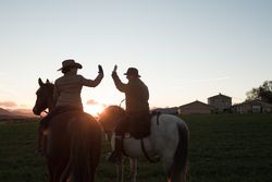 People on horses giving high five