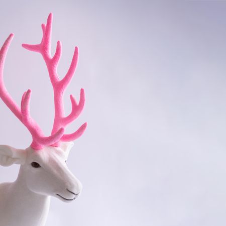 Reindeer with pink antlers
