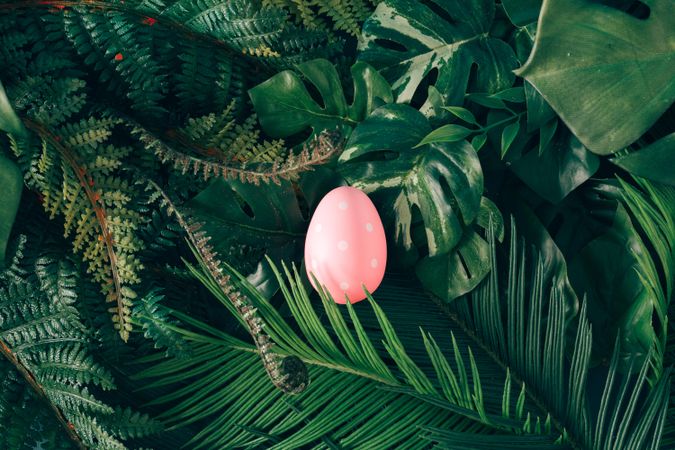 Easter egg on foliage