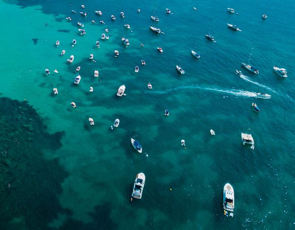 Different motorboats sailing in sea