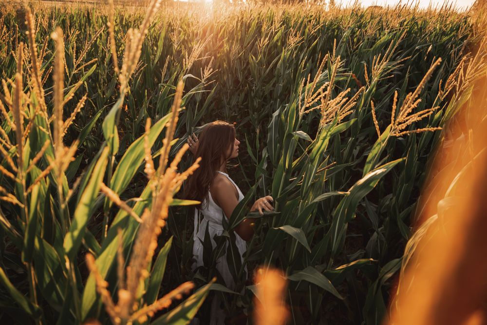 Woman in field ears of wheat on field on sunny day