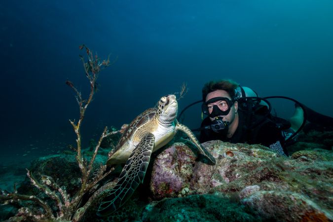 Free diver swimming underwater with big turtle in ocean