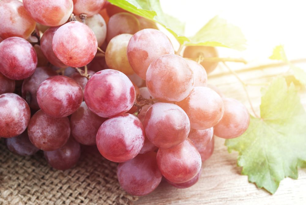 Red grape on natural sackcloth with soft light upper right side