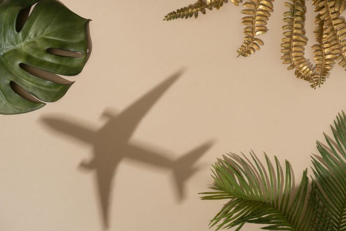Flat lay of green and gold leaves with shadow of airplane