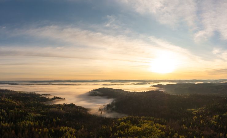 Foggy forest at golden hour in the morning, drone aerial view