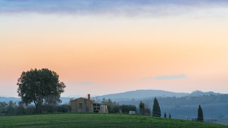 Peaceful green field at sunset