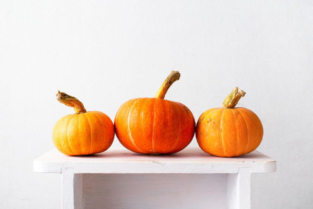 Three orange pumpkins on simple light background with copy space