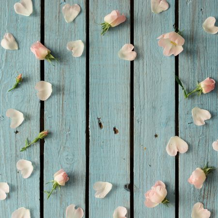 Flowers and petals on wooden background