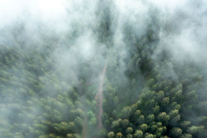 Drone aerial view of the Forest, Germany on a foggy morning