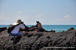 Man taking photo of chameleon on rocky seashore 0PWWmb