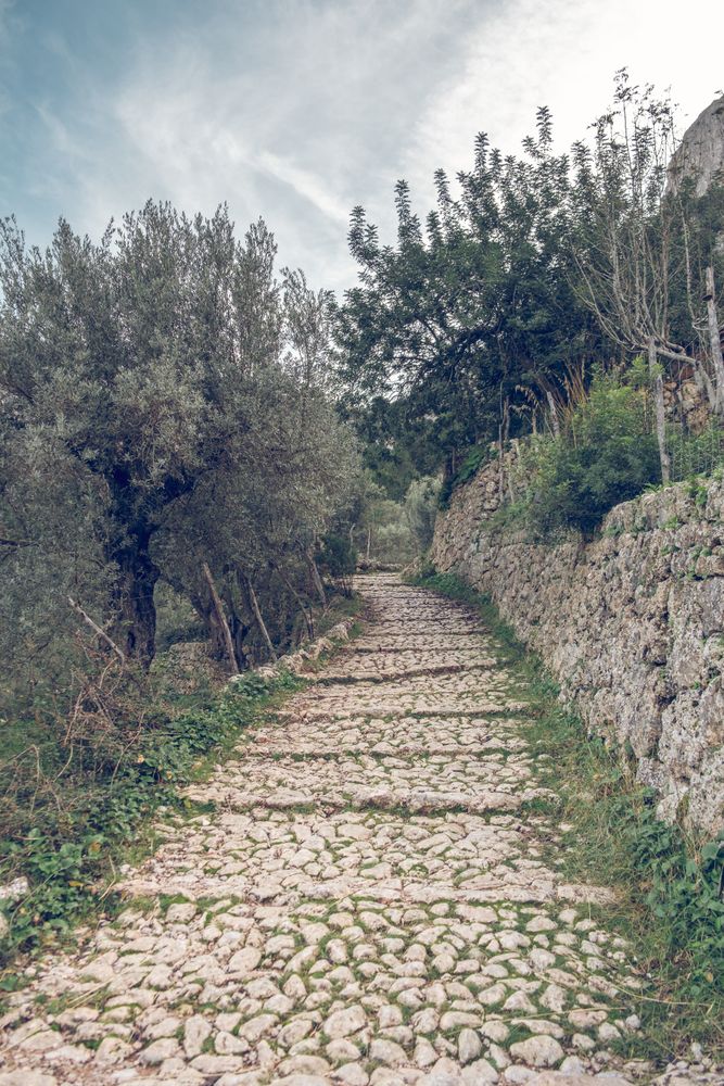 Narrow stone pathway in green woods in Mallorca