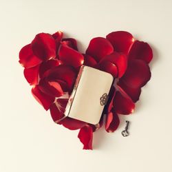 Red rose petals in a heart shape with book and key on light background