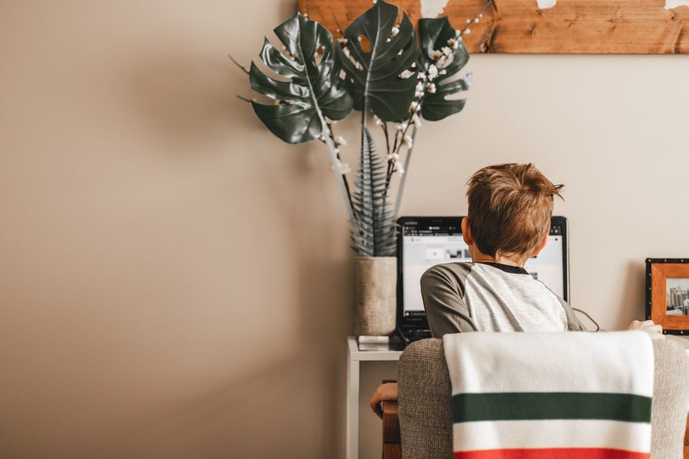 Back view of young boy using a computer at home