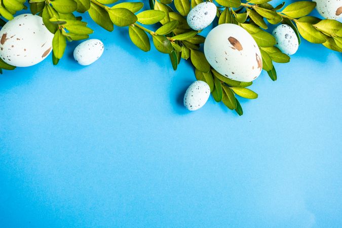 Easter holiday card with eggs and branches on blue background