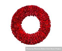 Bright red holiday wreath isolated on plane background 0gxvN5