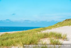 Landscape with marram grass dunes and the North Sea, on Sylt island, Germany bYAgXb