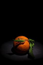 Fresh Oranges on dark background