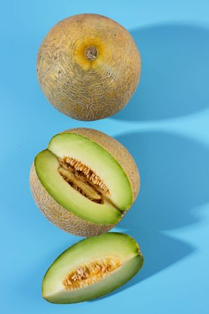 Top View Various Sliced and Shape Green Melon