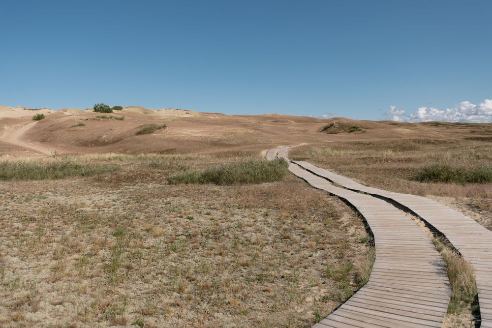 Deserted field with wooden overpass