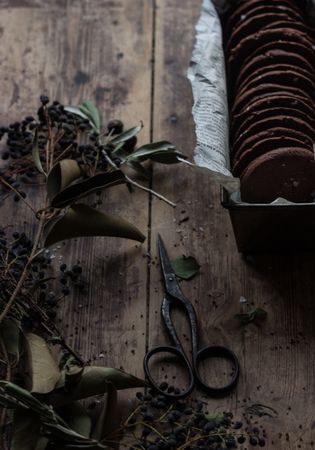 Dry herbs and scissors near chocolate cookies