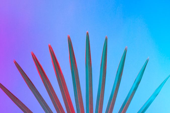 Palm leaf lit in bold neon  colors, on gradient blue to pink background