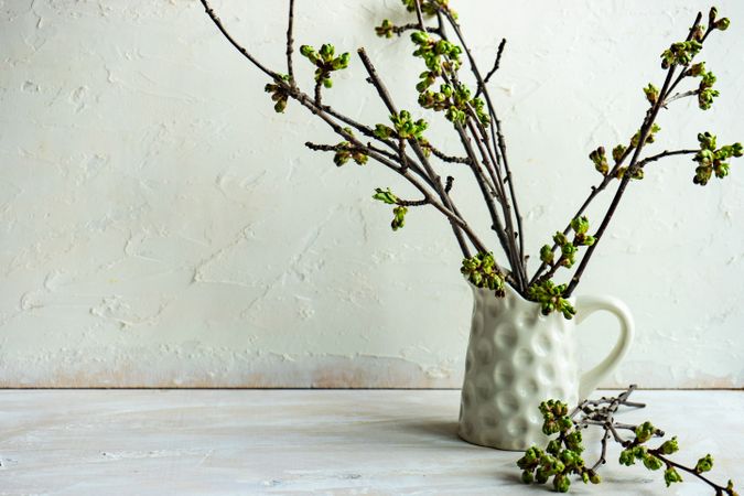 Decorative branch in vase in studio