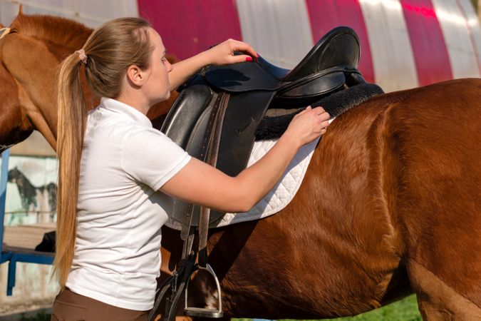 Equestrian securing saddle on horse