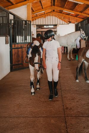 Jockey leading horse out of stable