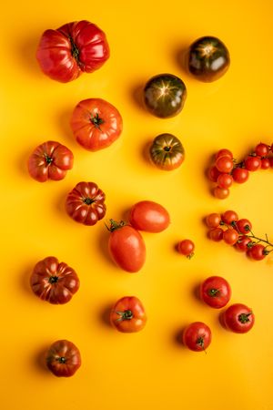 Set of assorted tomatoes
