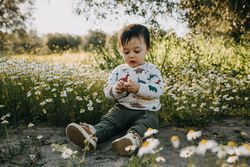 Child in dinosaur sweater in a field of daisies