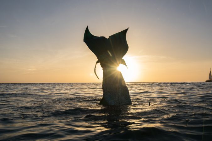 Fairytale mermaid splashing in sea