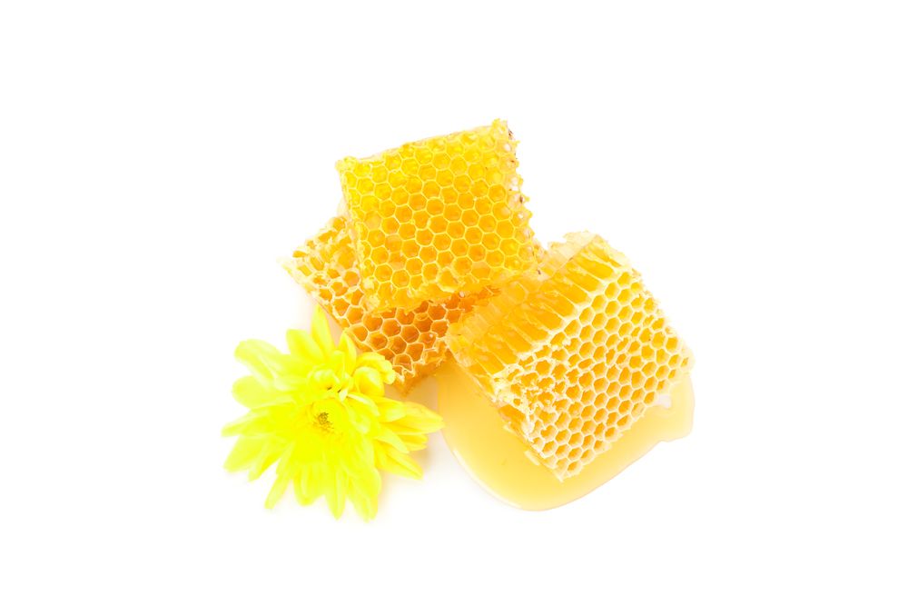 Pieces of honeycomb and chrysanthemum isolated on blank background
