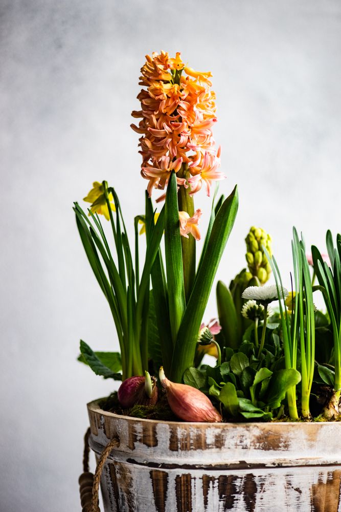 Spring floral interior composition