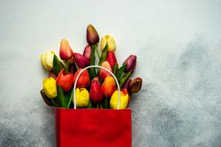 Red bag of fresh tulips on grey counter with copy space