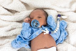 Newborn baby on soft blanket