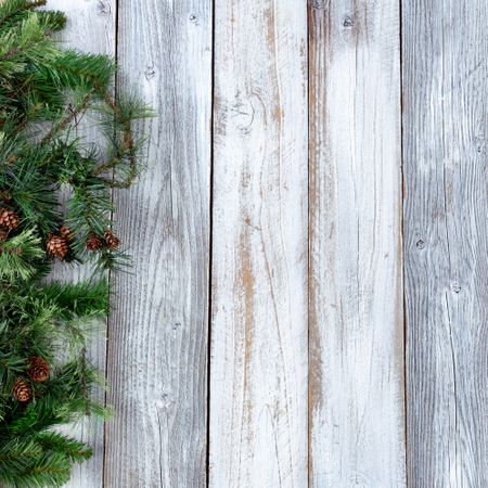 Christmas background with evergreen on wood