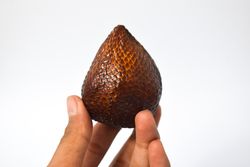 Hand holding salak, snake skin fruit