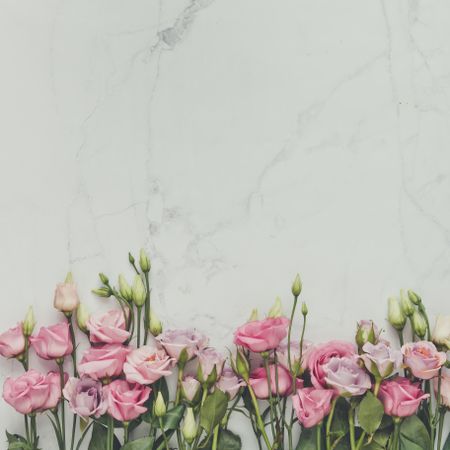 Pink flowers and leaves bordering marble background
