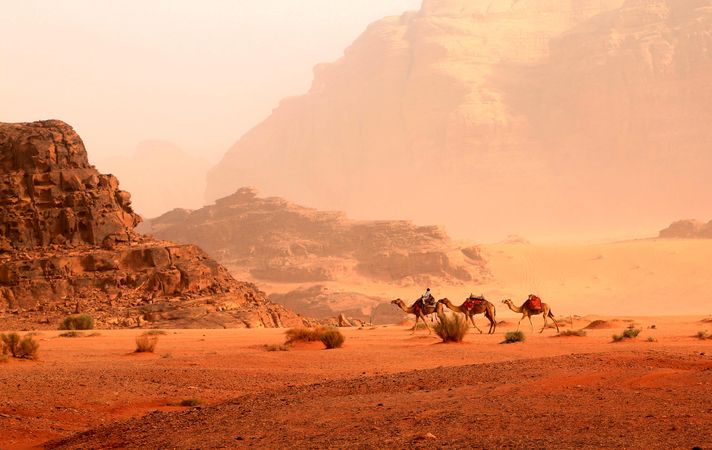 Man riding camels on brown sand near rock formation