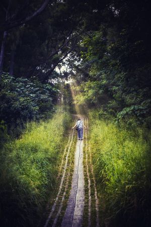 Person walking on pathway in the woods
