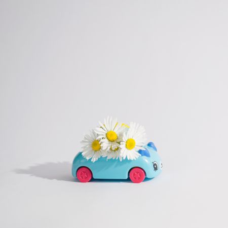 Cute blue toy car with daisy flowers