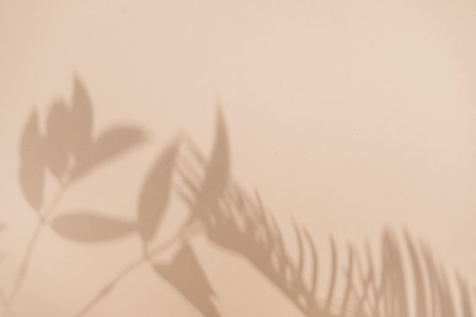Flat lay of shadow of palm leaf beige background