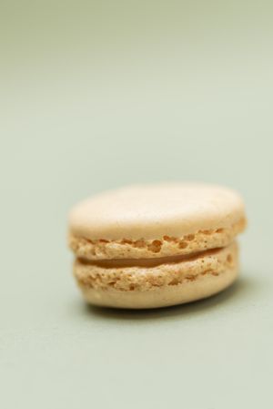 Single vanilla macaroon