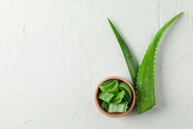 Aloe vera leaves and slices on table, space for text and top view. Natural treatment