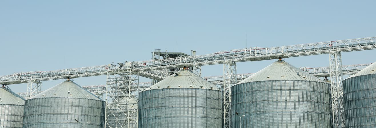 Grain silos. Grain terminal. Agriculture business. Summer harvest